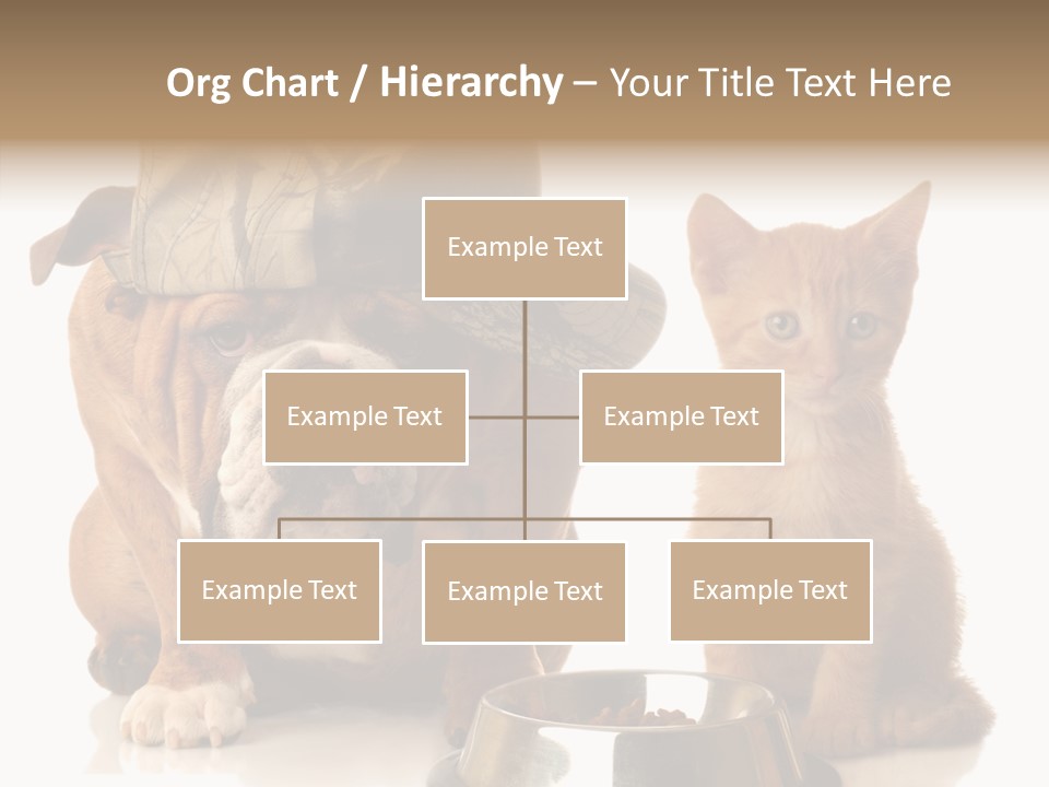 Obedient Friendly Cute PowerPoint Template