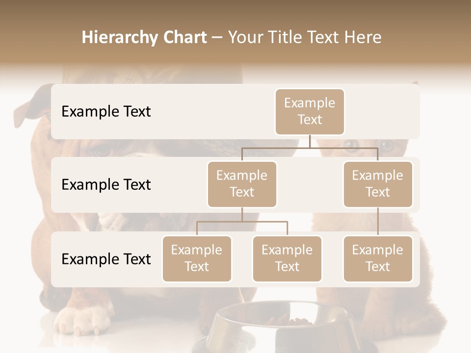 Obedient Friendly Cute PowerPoint Template