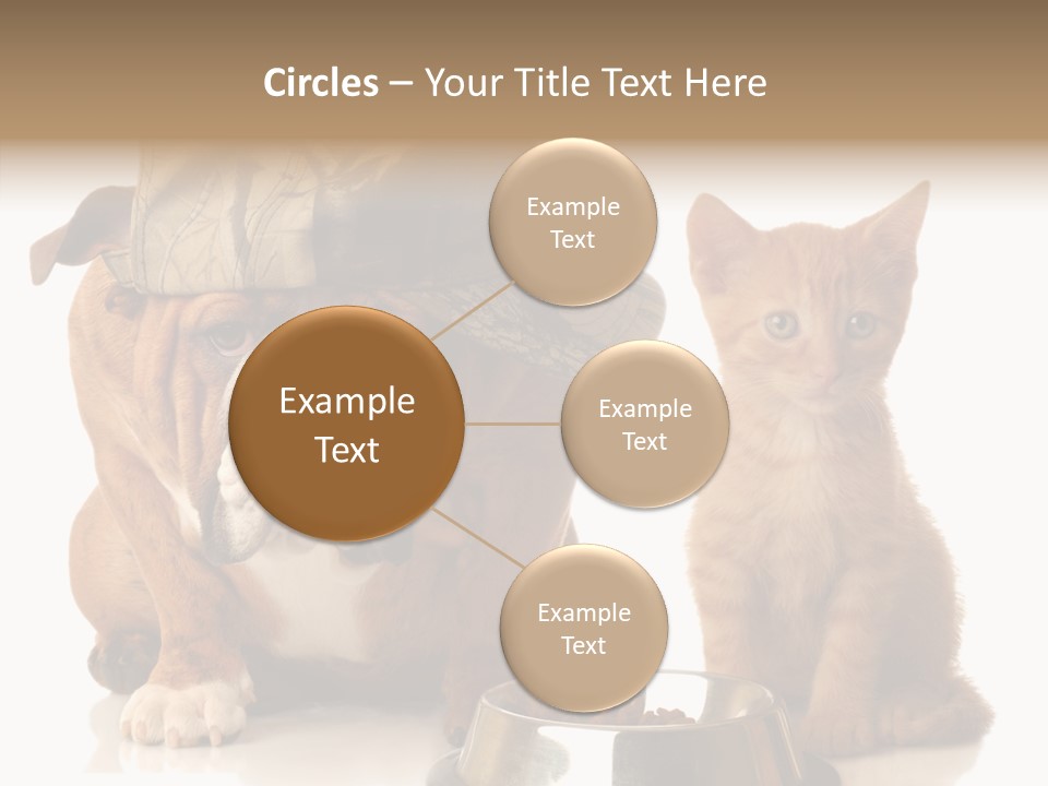 Obedient Friendly Cute PowerPoint Template