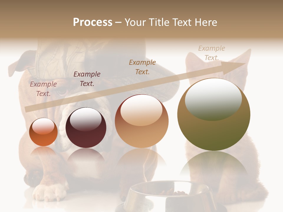 Obedient Friendly Cute PowerPoint Template