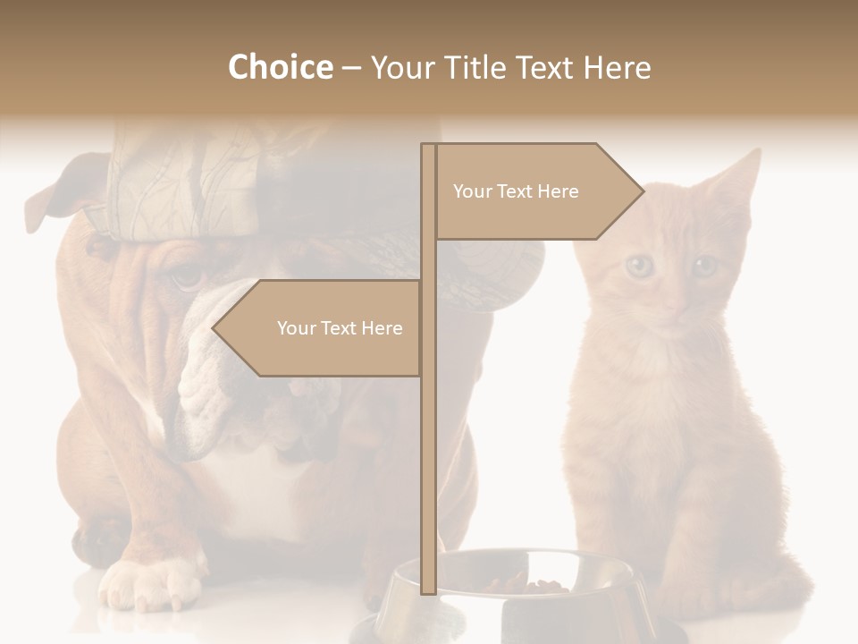 Obedient Friendly Cute PowerPoint Template