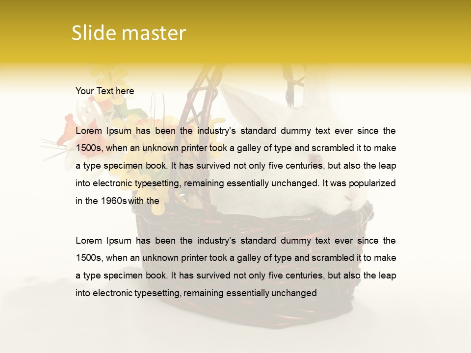 Bunny Soft Clean PowerPoint Template