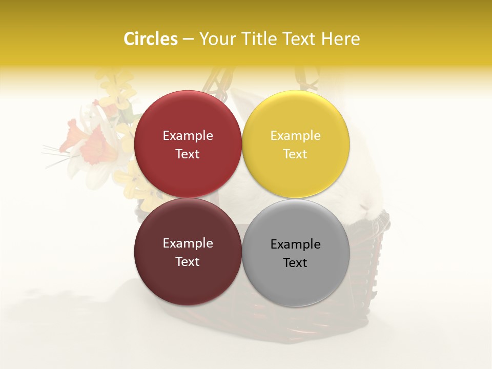 Bunny Soft Clean PowerPoint Template