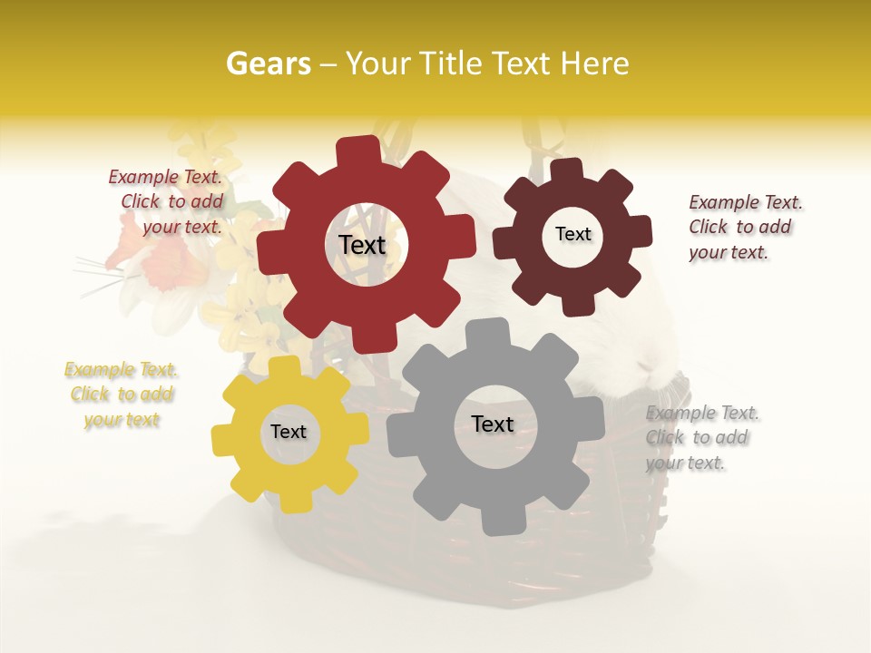 Bunny Soft Clean PowerPoint Template