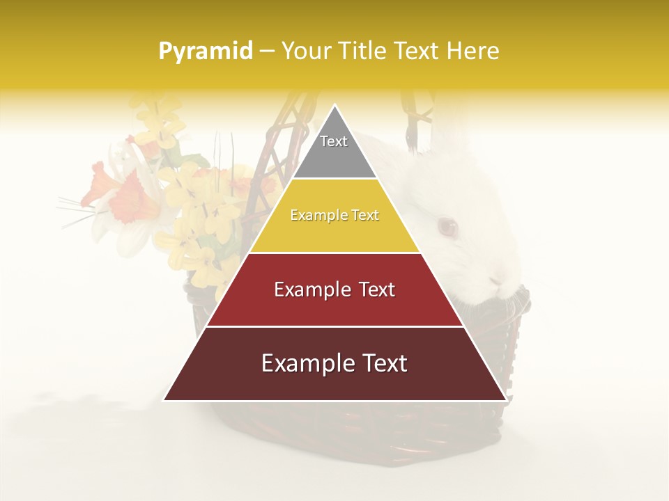 Bunny Soft Clean PowerPoint Template