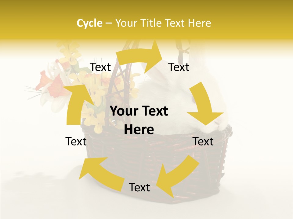 Bunny Soft Clean PowerPoint Template