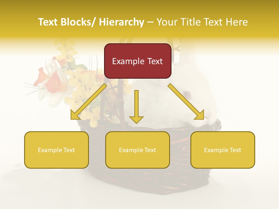 Bunny Soft Clean PowerPoint Template