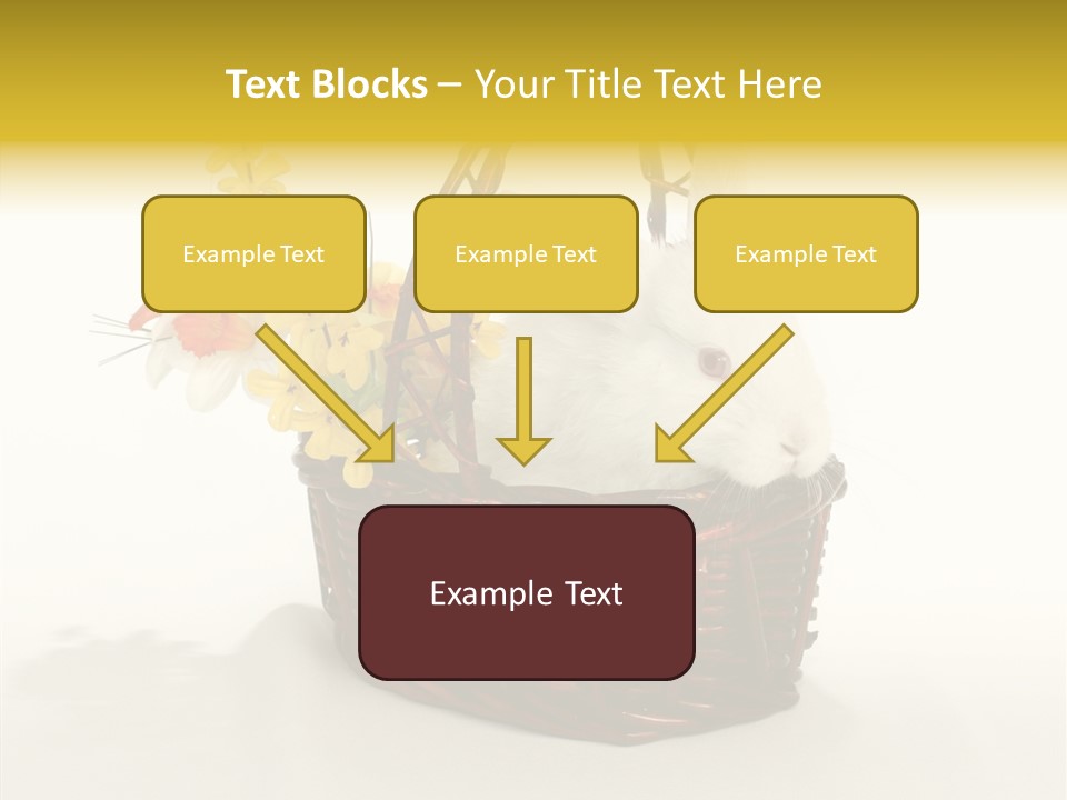 Bunny Soft Clean PowerPoint Template