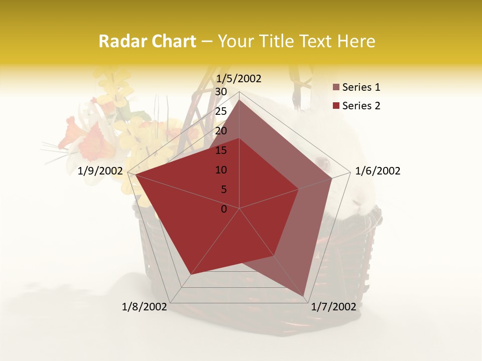 Bunny Soft Clean PowerPoint Template