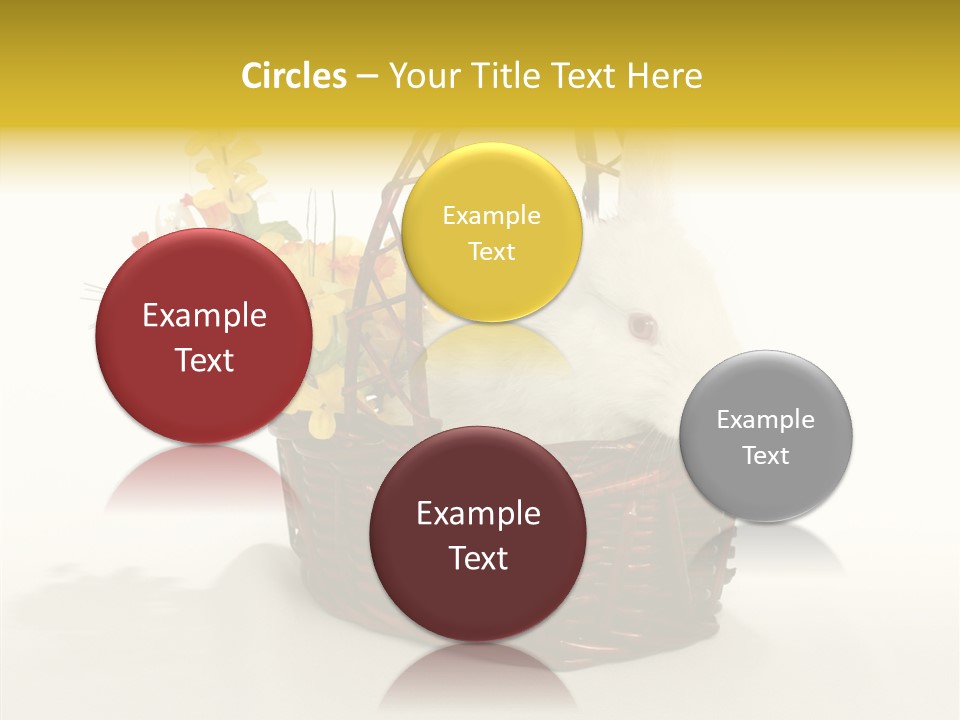 Bunny Soft Clean PowerPoint Template