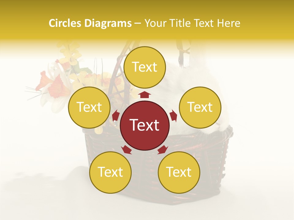 Bunny Soft Clean PowerPoint Template