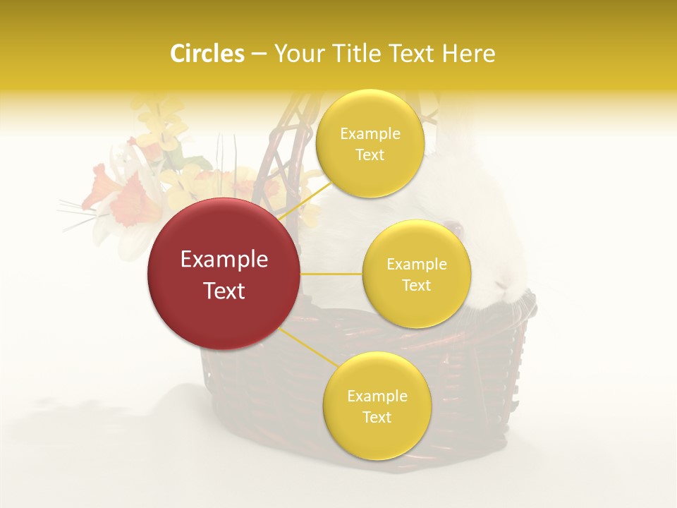 Bunny Soft Clean PowerPoint Template