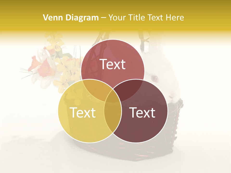 Bunny Soft Clean PowerPoint Template