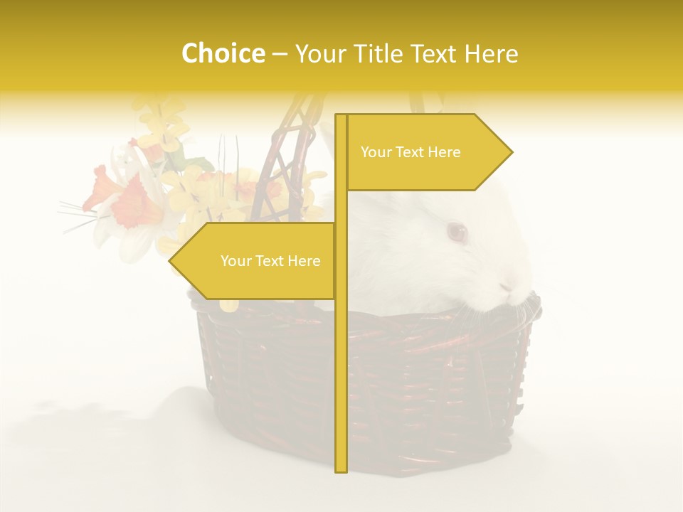 Bunny Soft Clean PowerPoint Template