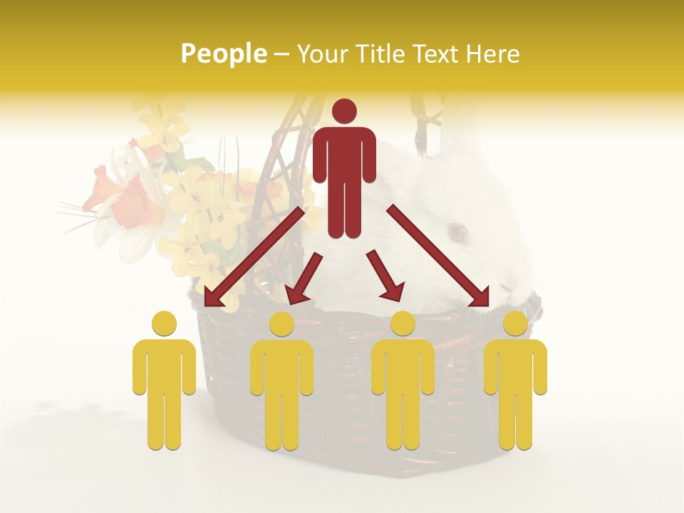 Bunny Soft Clean PowerPoint Template