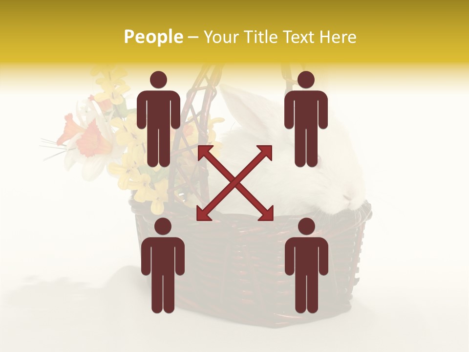 Bunny Soft Clean PowerPoint Template