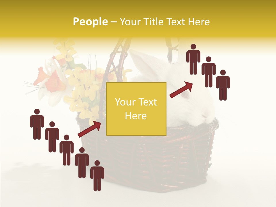 Bunny Soft Clean PowerPoint Template