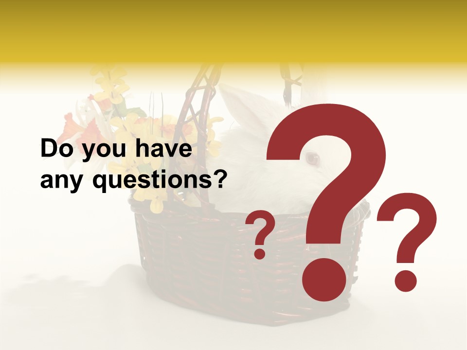 Bunny Soft Clean PowerPoint Template