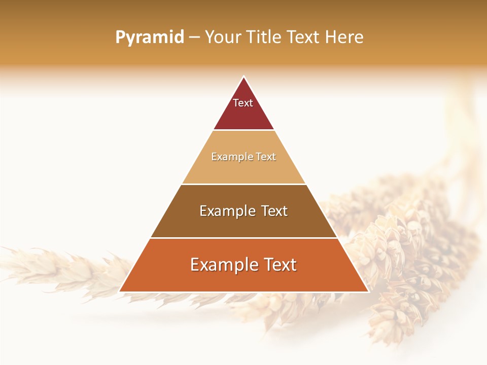 Summer Plant Harvest PowerPoint Template