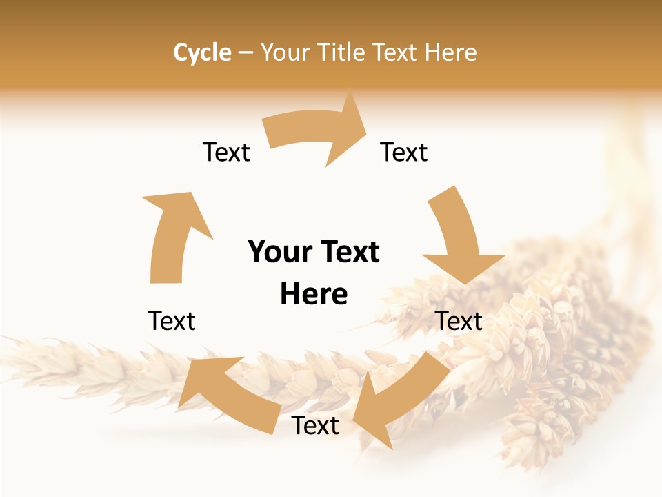 Summer Plant Harvest PowerPoint Template