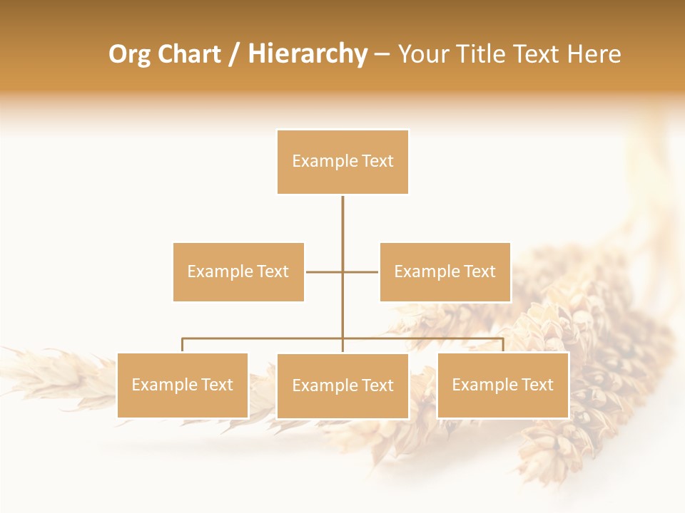 Summer Plant Harvest PowerPoint Template