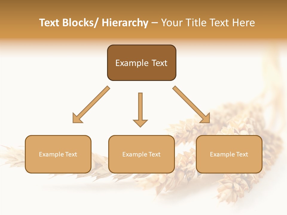 Summer Plant Harvest PowerPoint Template