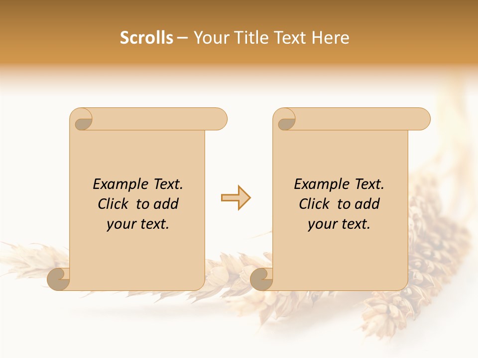 Summer Plant Harvest PowerPoint Template