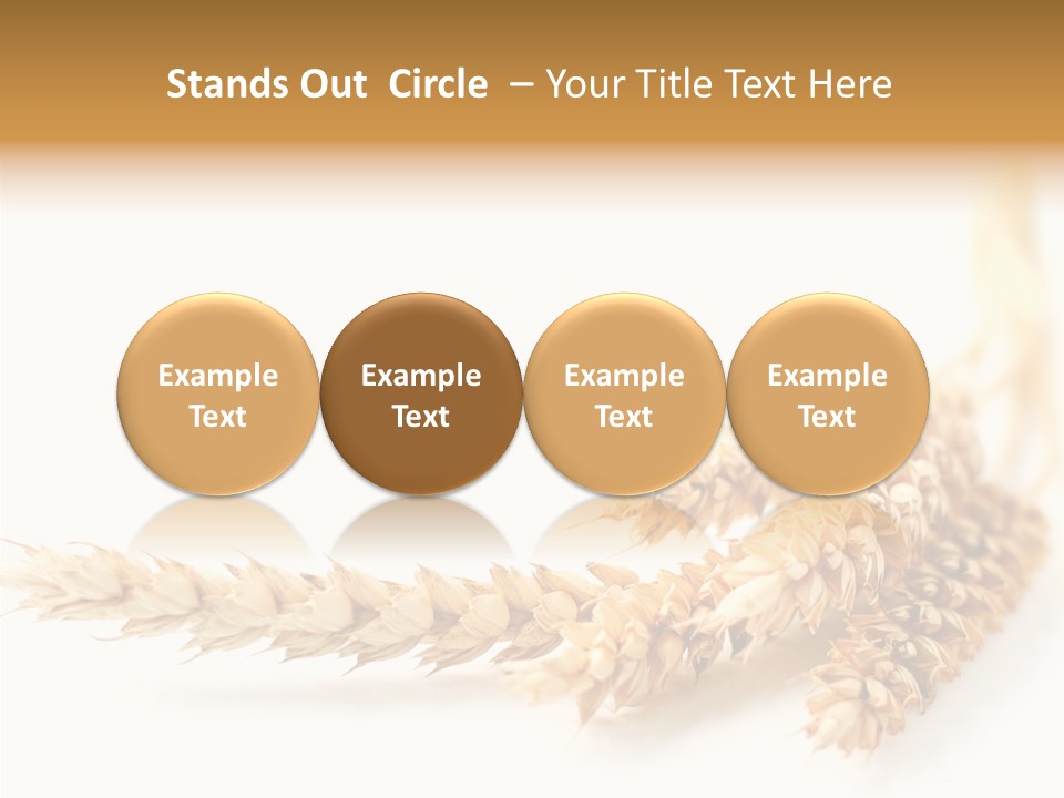 Summer Plant Harvest PowerPoint Template