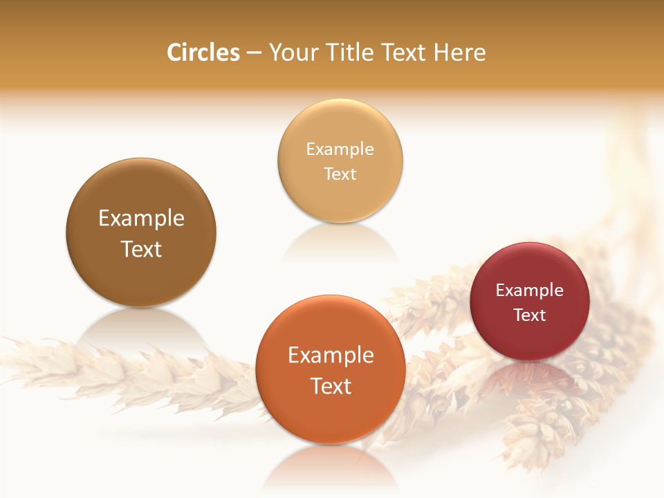 Summer Plant Harvest PowerPoint Template