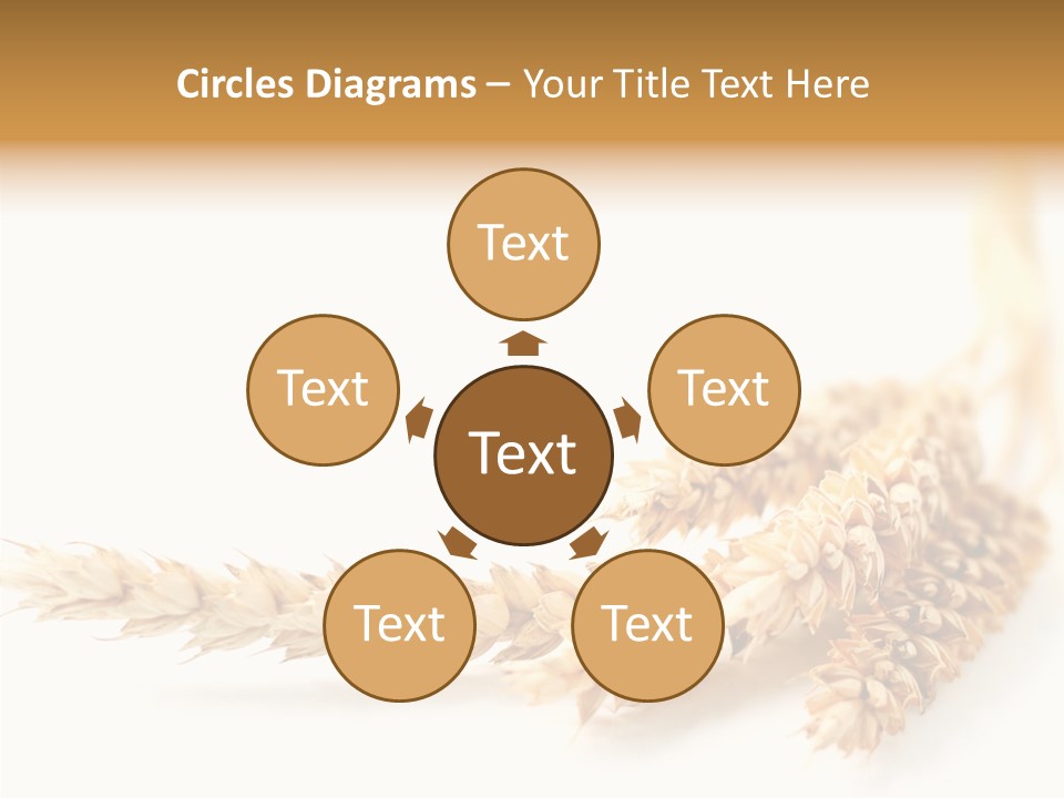 Summer Plant Harvest PowerPoint Template