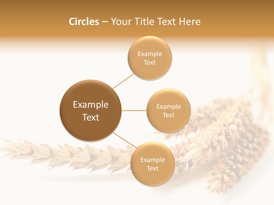 Summer Plant Harvest PowerPoint Template