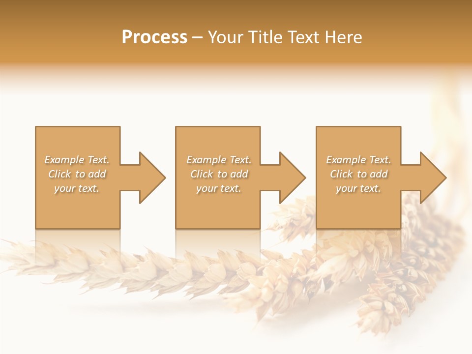 Summer Plant Harvest PowerPoint Template
