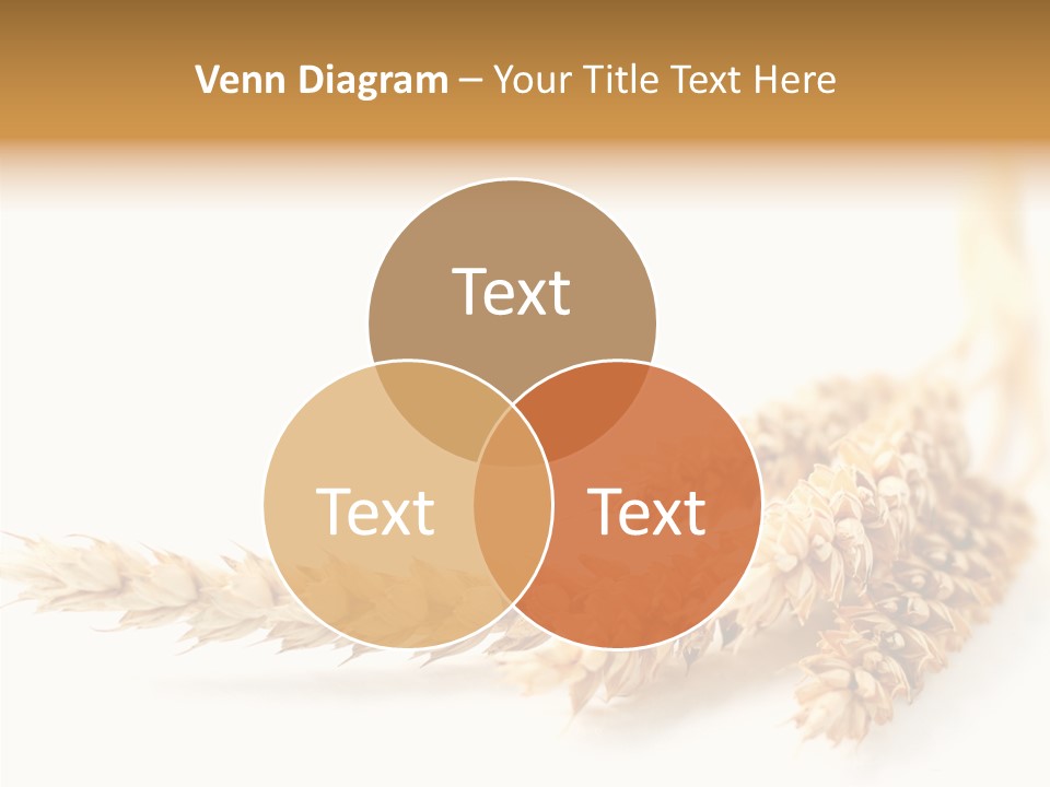 Summer Plant Harvest PowerPoint Template