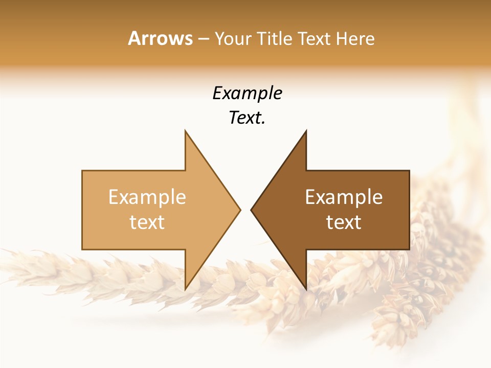 Summer Plant Harvest PowerPoint Template
