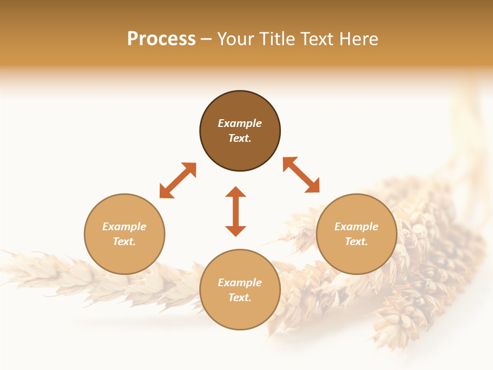 Summer Plant Harvest PowerPoint Template