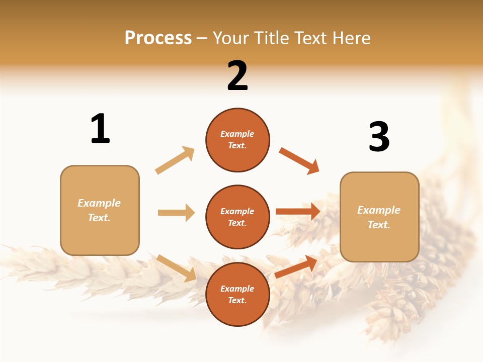 Summer Plant Harvest PowerPoint Template