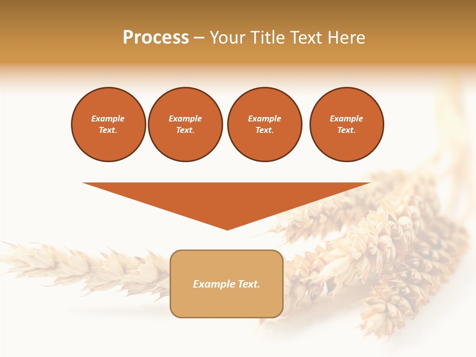 Summer Plant Harvest PowerPoint Template