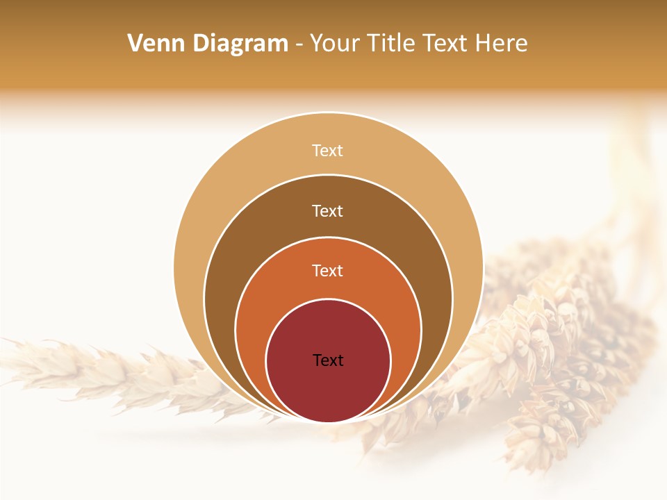 Summer Plant Harvest PowerPoint Template