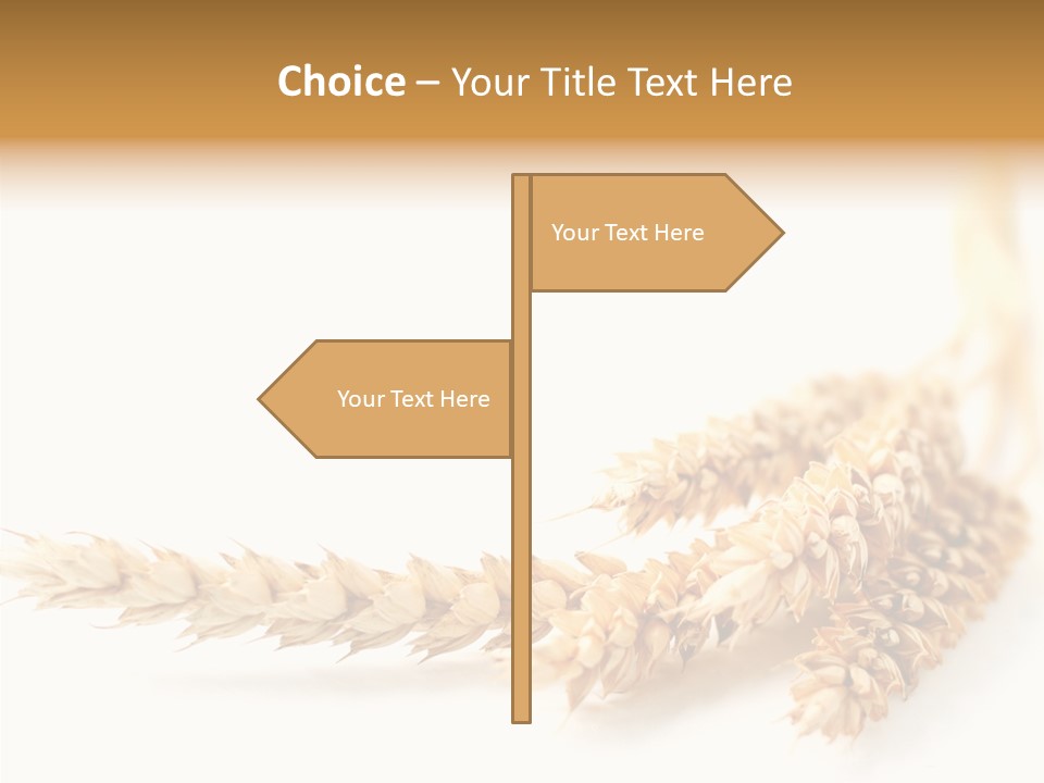 Summer Plant Harvest PowerPoint Template