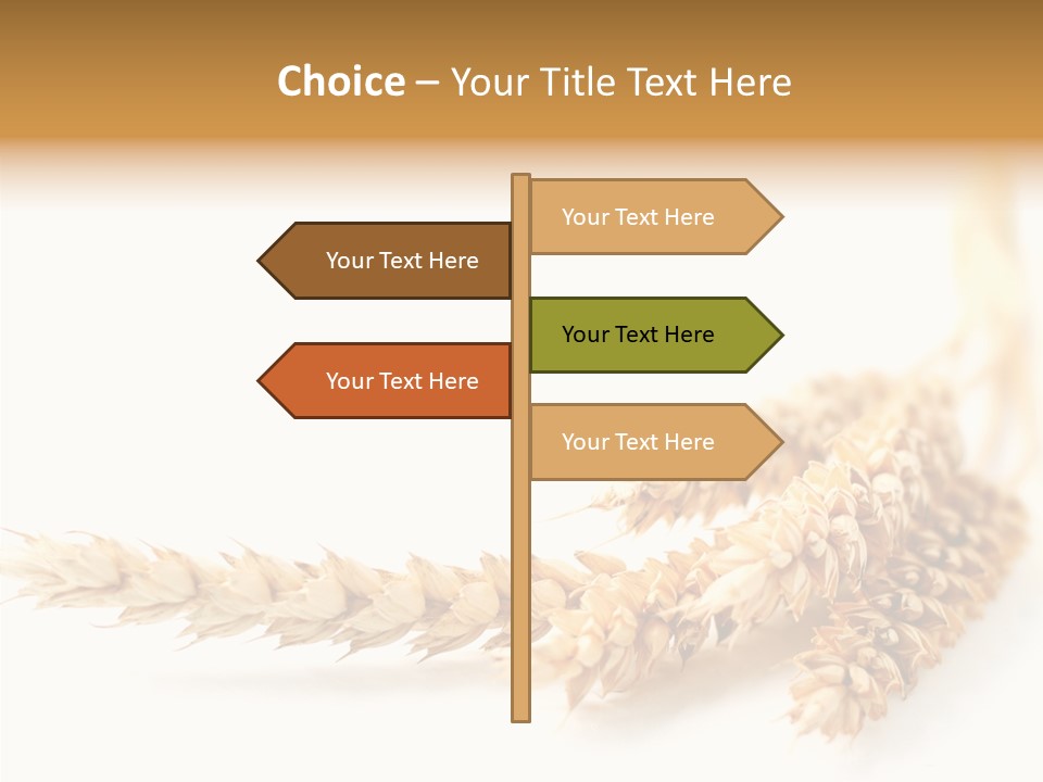 Summer Plant Harvest PowerPoint Template