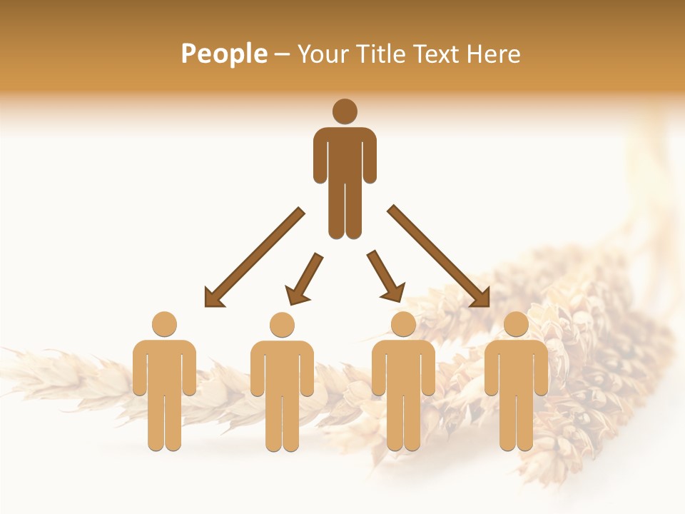 Summer Plant Harvest PowerPoint Template