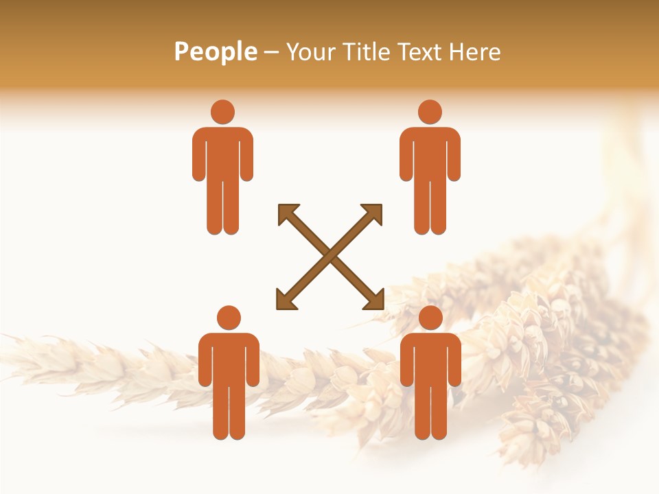 Summer Plant Harvest PowerPoint Template