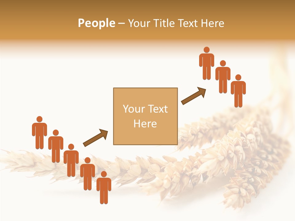 Summer Plant Harvest PowerPoint Template