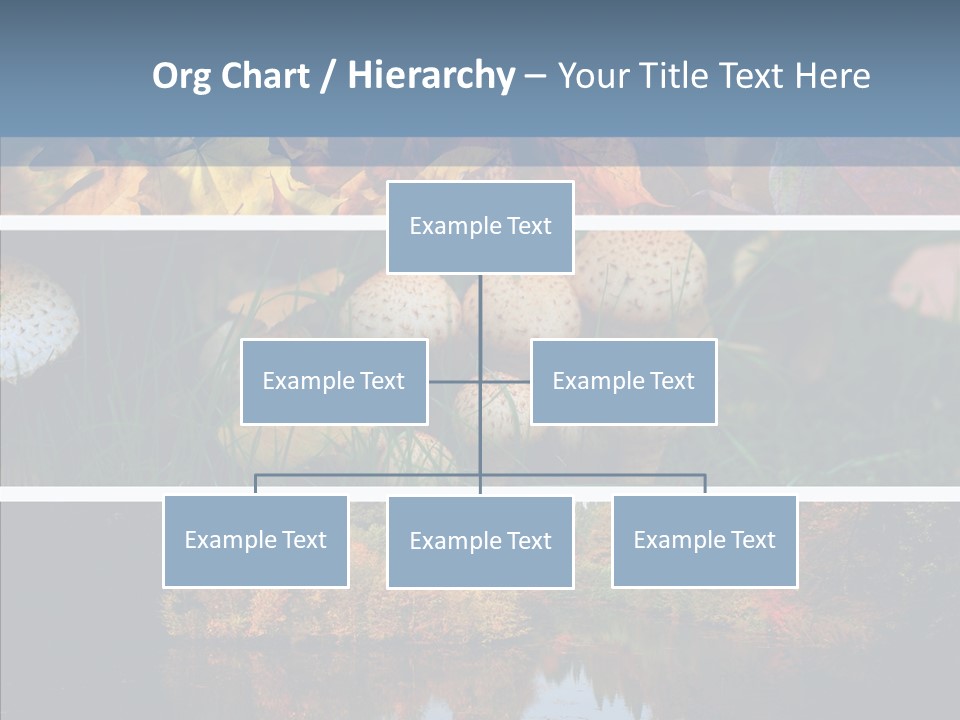 Colourful Space Copy PowerPoint Template