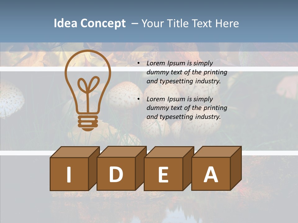 Colourful Space Copy PowerPoint Template