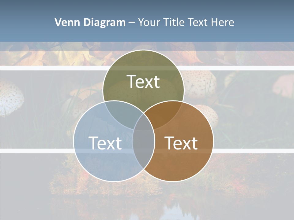 Colourful Space Copy PowerPoint Template