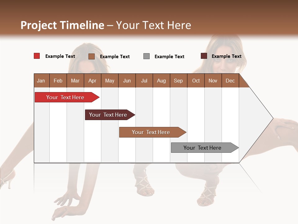 Profe Ional Toon Management PowerPoint Template