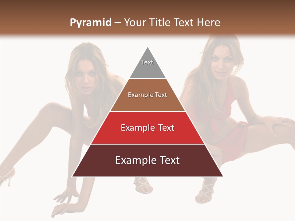 Profe Ional Toon Management PowerPoint Template