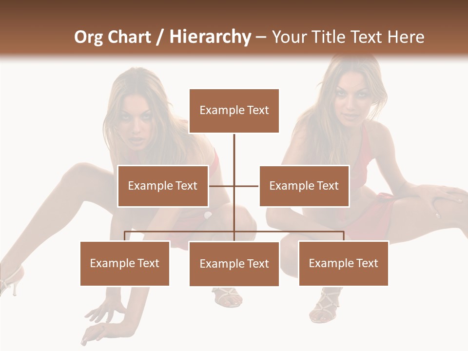 Profe Ional Toon Management PowerPoint Template