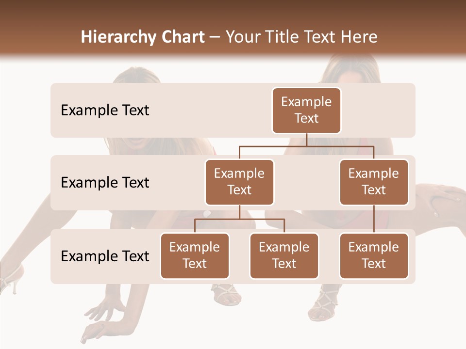 Profe Ional Toon Management PowerPoint Template